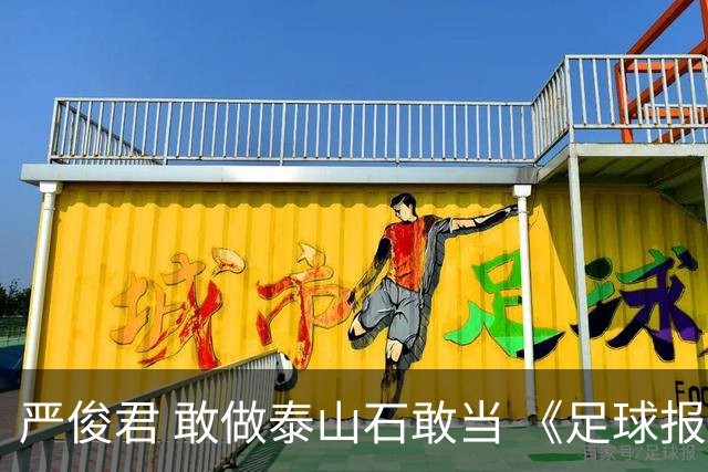 严俊君 敢做泰山石敢当 《足球报》的诞生