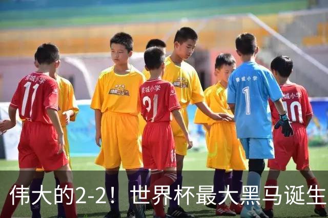 伟大的2-2！世界杯最大黑马诞生？ 逼平两大世界冠军实现国足目标