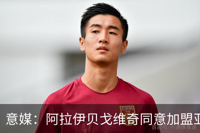 意媒：阿拉伊贝戈维奇同意加盟亚特兰大，勒沃库森要价3000万